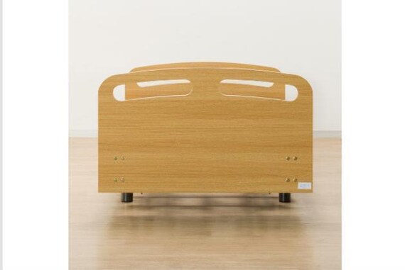 ヒ)デンドウ ライズ2 3M-F LBR 9枚目画像