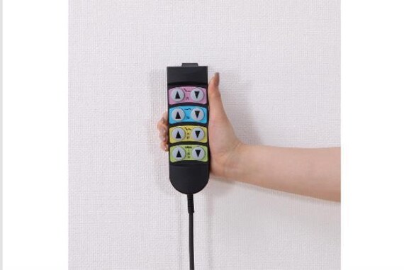 ﾋ)ﾃﾞﾝﾄﾞｳ ﾗｲｽﾞ2 3M-F LBR 15枚目画像