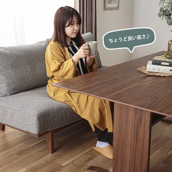 リビングダイニングテーブル(リッジ2 160テーブル 直線)【島忠ホームズ商品】 4枚目画像