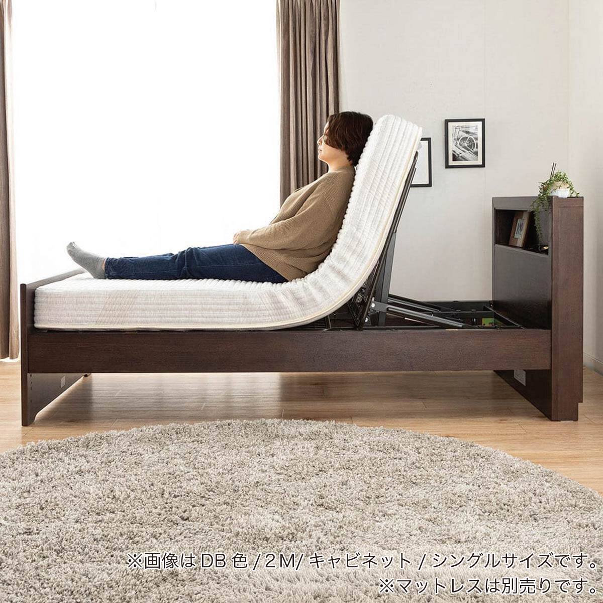電動セミダブルベッドフレーム(エンブレム キャビネット 2M 手すり付 L