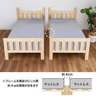 2段ベッド(シャメル NA/LATTE)【島忠ホームズ商品】 15枚目画像