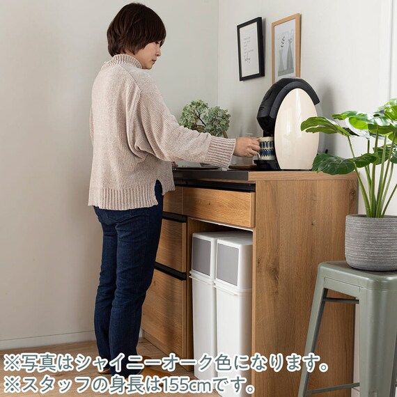 キッチンカウンター(シアトル120 ダストタイプ WN)【島忠ホームズ商品】 9枚目画像