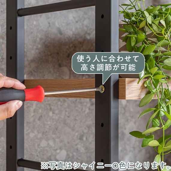 キッチンボード(スパイス60DB WN)【島忠ホームズ商品】 2枚目画像