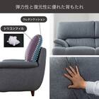 布張り2人掛けソファ(デビュー077 座面高42cm BGY)【島忠ホームズ商品】 2枚目画像