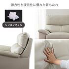 2.5人掛けソファ 本革(一部合成皮革)タイプ (デビュー079 ソフト 本革GY)【島忠ホームズ商品】 2枚目画像