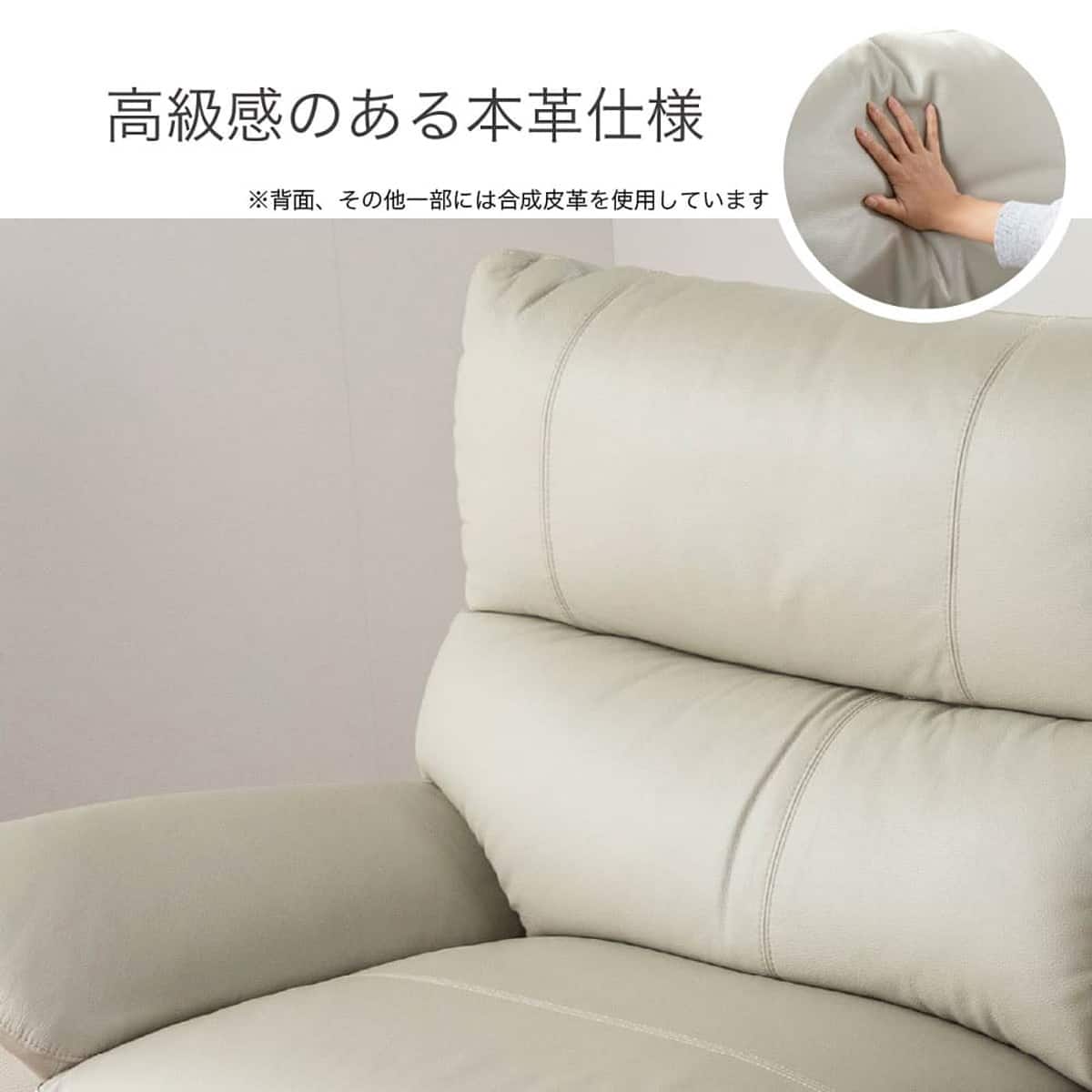2.5人掛けソファ 本革(一部合成皮革)タイプ (デビュー079 ソフト 本革