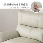 2.5人掛けソファ 本革(一部合成皮革)タイプ (デビュー079 ソフト 本革GY)【島忠ホームズ商品】 9枚目画像