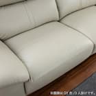 2.5人掛けソファ 本革(一部合成皮革)タイプ (デビュー079 ソフト 本革GY)【島忠ホームズ商品】 16枚目画像