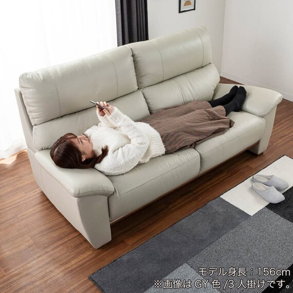 2.5人掛けソファ 本革(一部合成皮革)タイプ (デビュー079 ハード 本革GY)【島忠ホームズ商品】 18枚目画像