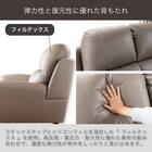 2.5人掛けソファ 本革(一部合成皮革)タイプ (デビュー081 H DGY)【島忠ホームズ商品】 2枚目画像