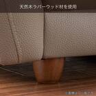 2.5人掛けソファ 本革(一部合成皮革)タイプ (デビュー081 H DGY)【島忠ホームズ商品】 9枚目画像