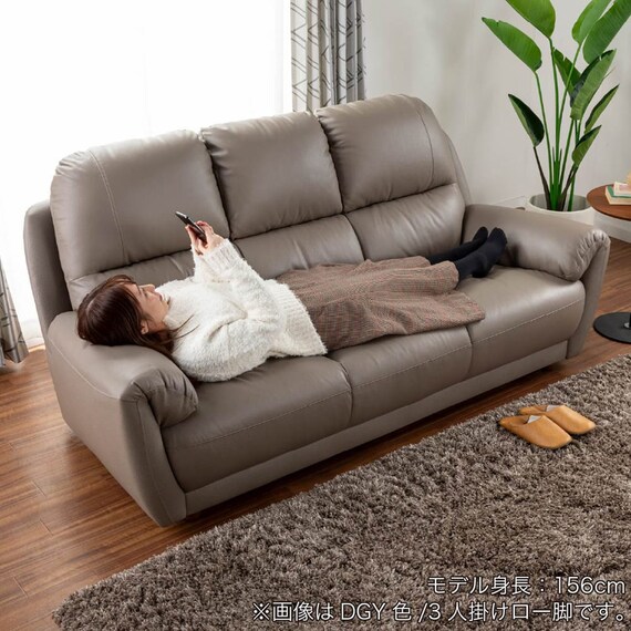 2.5人掛けソファ 本革(一部合成皮革)タイプ (デビュー081 H DGY)【島忠ホームズ商品】 16枚目画像