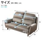2.5人掛けソファ 本革(一部合成皮革)タイプ (デビュー081 H DGY)【島忠ホームズ商品】 20枚目画像