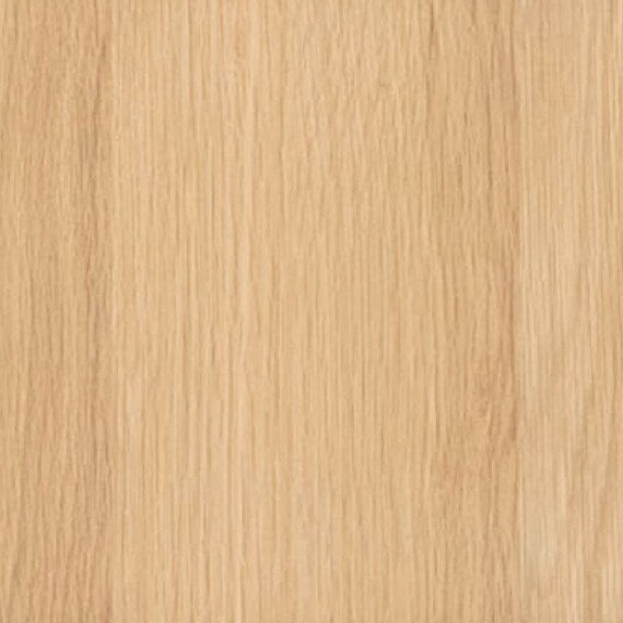 ダイニングチェア(ロブロ LBR)【島忠ホームズ商品】 6枚目画像