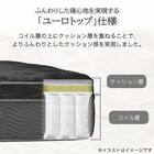 クイーン160マットレス(8.25インチ エッセンシャルブラックカスタム MD 1枚タイプ)【島忠ホームズ商品】 4枚目画像