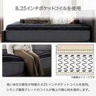 クイーン160マットレス(8.25インチ エッセンシャルブラックカスタム MD 1枚タイプ)【島忠ホームズ商品】 13枚目画像