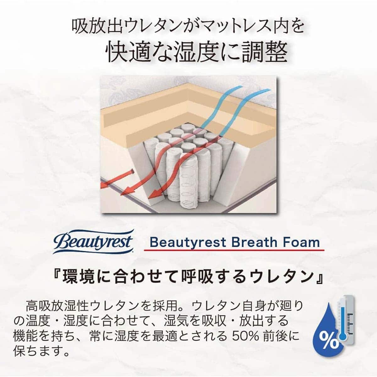 クイーン160マットレス(8.25インチ エッセンシャルブラックカスタム SF