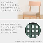 ダイニングチェア(Nコレクション C-49 NA/AQ-BE) 2枚目画像