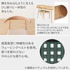 ダイニングチェア(Nコレクション C-01D BK/AQ-MGY) 2枚目画像