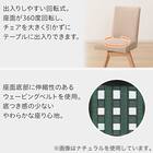ダイニングチェア(Nコレクション C-60S NA/AQ-BE) 2枚目画像