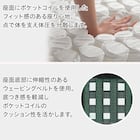 ソファのような座り心地のポケットコイルダイニングチェア(Nコレクション C-75 NA/AQ-BE) 2枚目画像