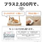 ソファのような座り心地のポケットコイルダイニングチェア(Nコレクション C-75 NA/AQ-BE) 5枚目画像