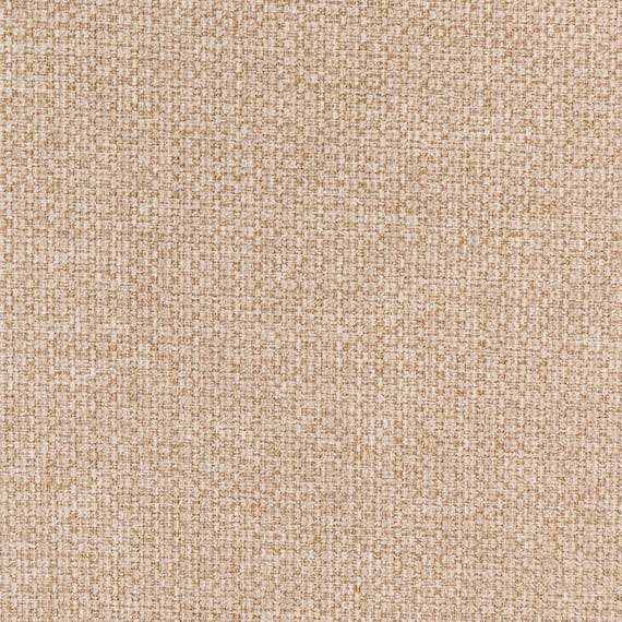 ダイニングチェア(Nコレクション C-70肘付き NA/AQ-BE) 16枚目画像