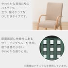 ダイニングチェア(Nコレクション C-10肘付き MBR/AQ-BR) 2枚目画像