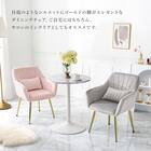 肌触りのよいエレガントチェア クッション付き (LGY) 4枚目画像