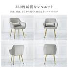 肌触りのよいエレガントチェア クッション付き (LGY) 8枚目画像