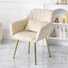 肌触りのよいエレガントチェア クッション付き (IV) 1枚目画像