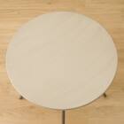 円形ダイニングテーブル(IN/OUTDOOR MS003 GY) 2枚目画像