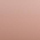 ダイニングチェア(EV001 PEACH) 10枚目画像