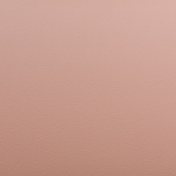 ダイニングチェア(EV001 PEACH) 10枚目画像