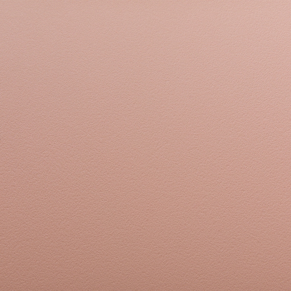 ダイニングチェア(EV001 PEACH) 10枚目画像