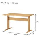 ダイニングテーブル5点セット(TLEG SI01 GN 120/SI01B GN) 19枚目画像