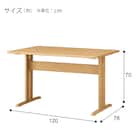 ダイニングテーブル4点セット(TLEG SI01 GN 120/SI01A GN/ベンチ SI01 GN) 19枚目画像