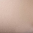 肘付きダイニングチェア(クロスタイム 003 WW)【島忠ホームズ商品】 14枚目画像