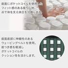 ソファのような座り心地のポケットコイルダイニングチェア(Nコレクション C-011 BK/NSF-MGY) 5枚目画像