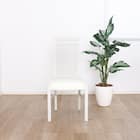 ダイニングチェア(ガルマ WH)【島忠ホームズ商品】 12枚目画像