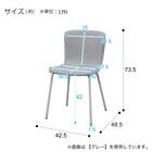 カラーチェア (EC01 グレー) 17枚目画像