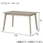 ダイニングテーブル5点セット(DT 4LEG 120 SJ601N/DC回転式 GY) 13枚目画像