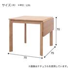 伸長式ダイニングテーブル(Nコレクション T-19 NA) 2枚目画像