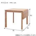 伸長式ダイニングテーブル(Nコレクション T-19 MBR) 2枚目画像