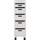 桐製野菜庫(VG79-25 5段浅型 WW) 2枚目画像