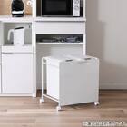 ダストワゴン(SV 26Lペール2個付きWH) 1枚目画像