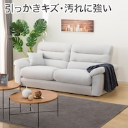 傷・汚れに強い ソファ 布張りタイプ (Nポケット BS12 NS)