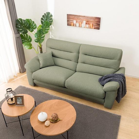 3人掛け布張りソファ(Nポケット BS12 S-LO Nシールド AQ-YGR) 2枚目画像