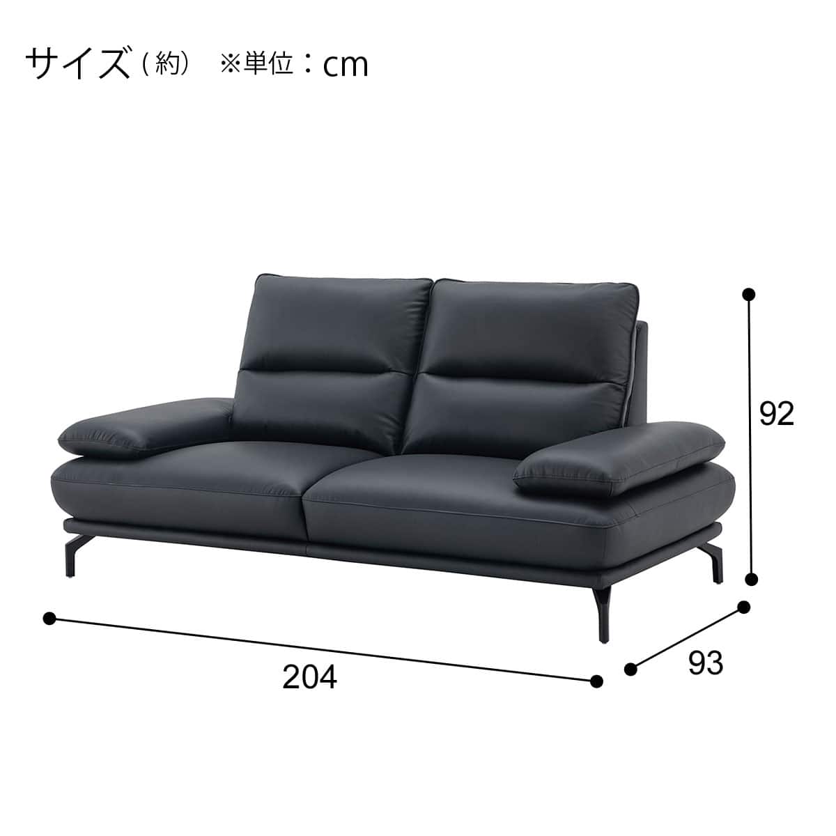3人掛けソファ 本革(一部合成皮革)タイプ (FR02 BK) | ニトリネット