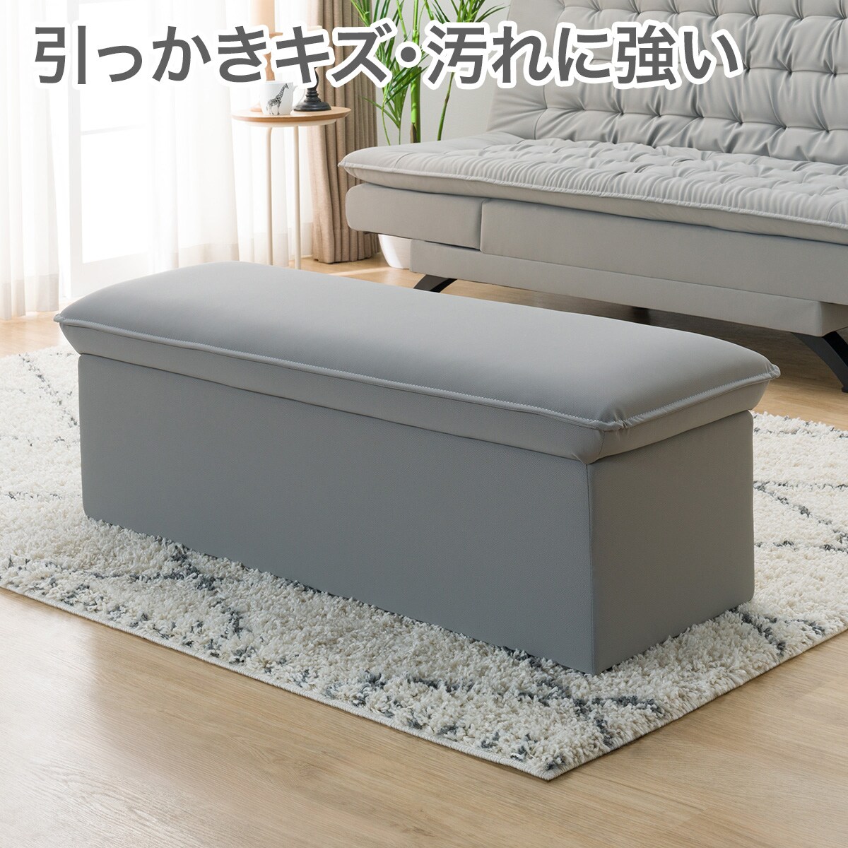 2110300025929s00.jpg?ts=